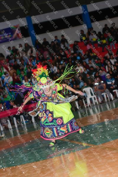 Foto 6208