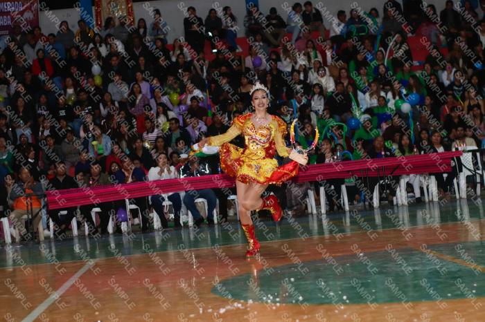 Foto 6242