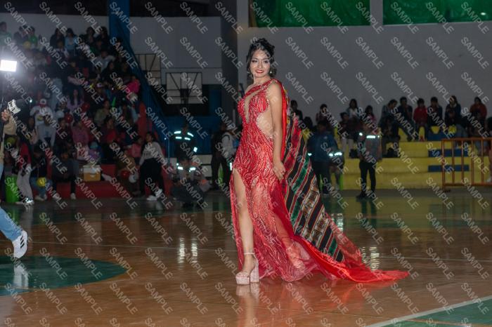 Foto 6131