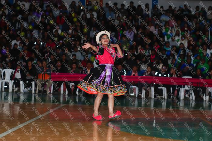 Foto 6303
