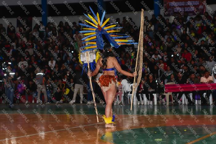 Foto 6328