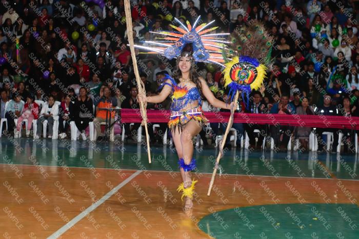 Foto 6332