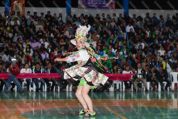 Foto 6337