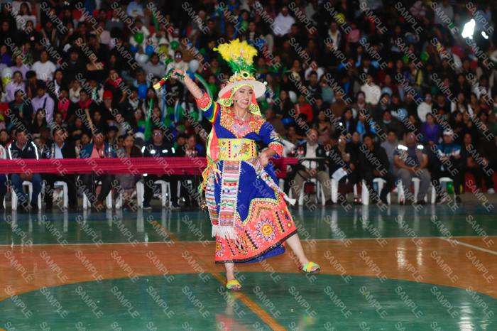 Foto 6376
