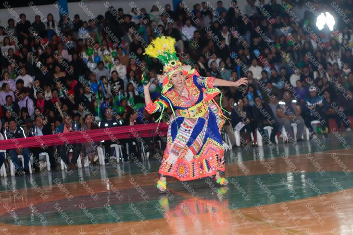 Foto 6377