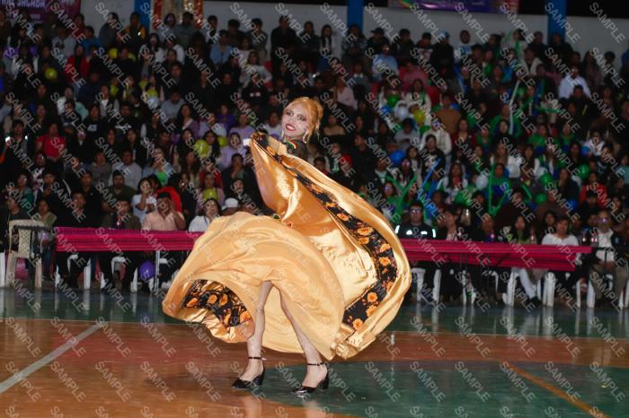 Foto 6390