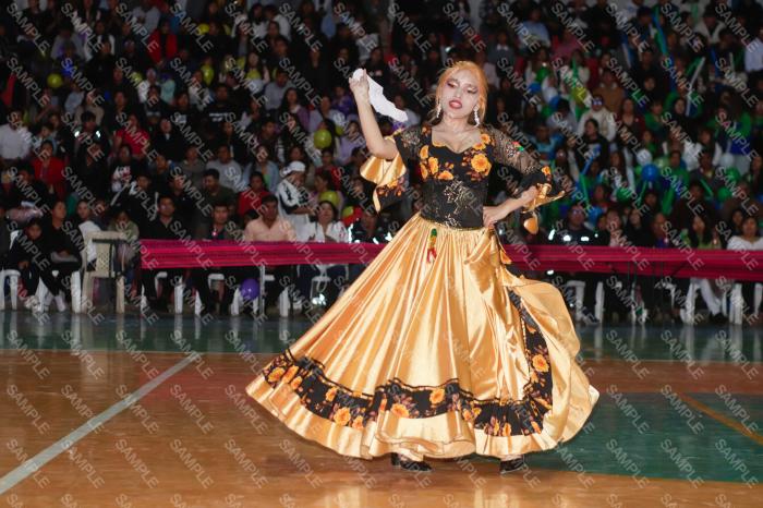 Foto 6391