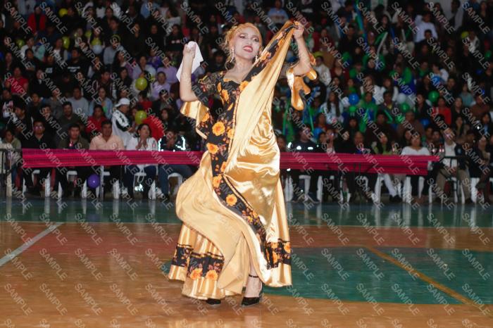 Foto 6392