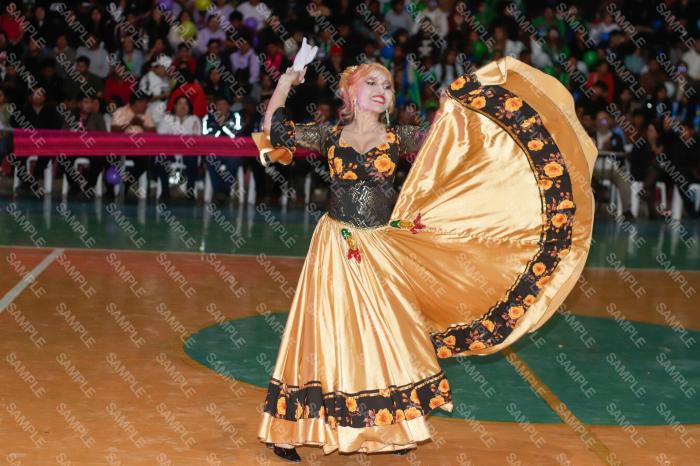 Foto 6393
