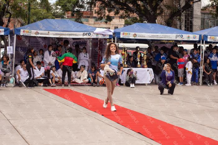 Foto 8776