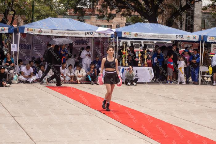 Foto 8833