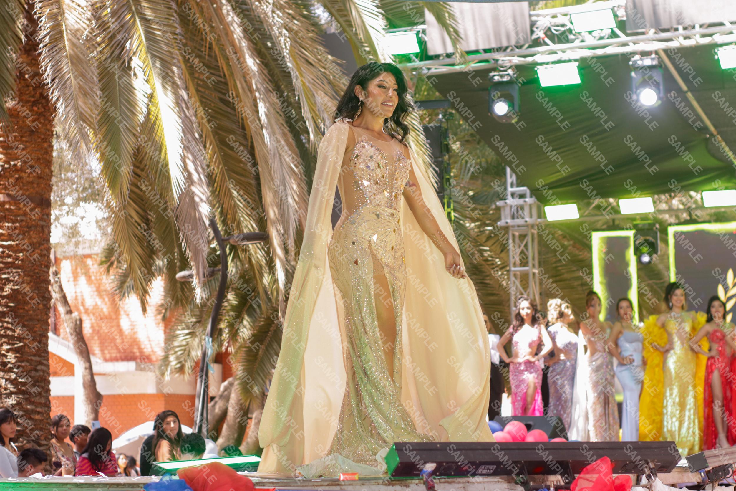 Cuadro Traje de Gala
