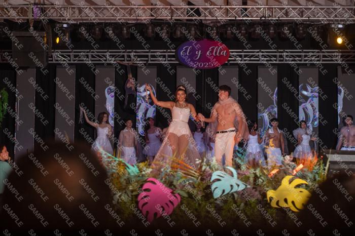 Foto 3133