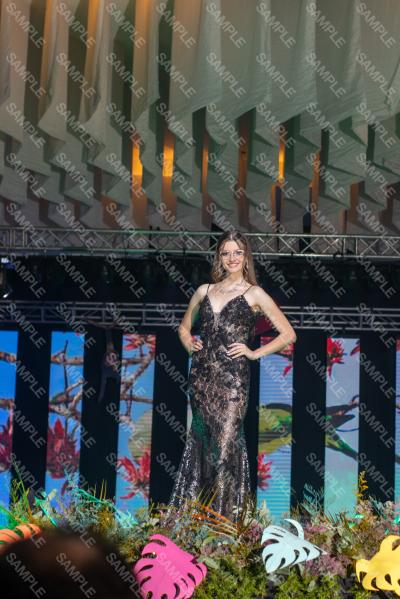Foto 3061