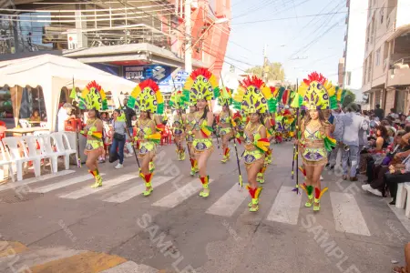 Foto 25215