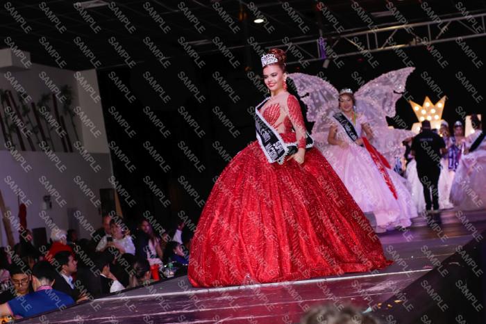 Foto 11831