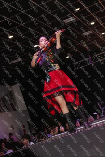 Foto 12234